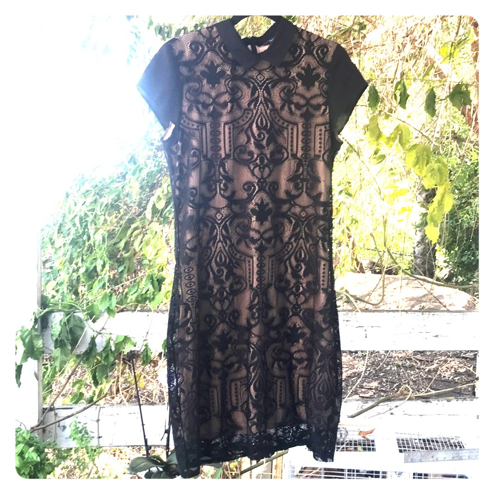 ♥️ Nude & black lace Peter Pan collar dress ♥️